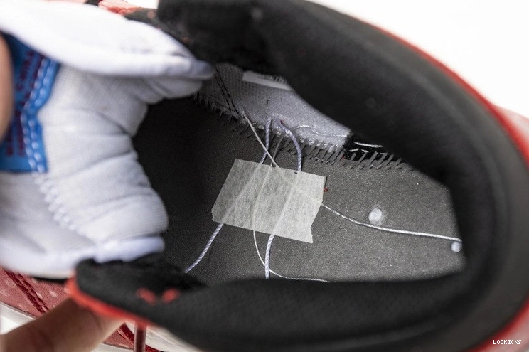 Reps Air Spider Jordan 555088-602 Man 1 0509